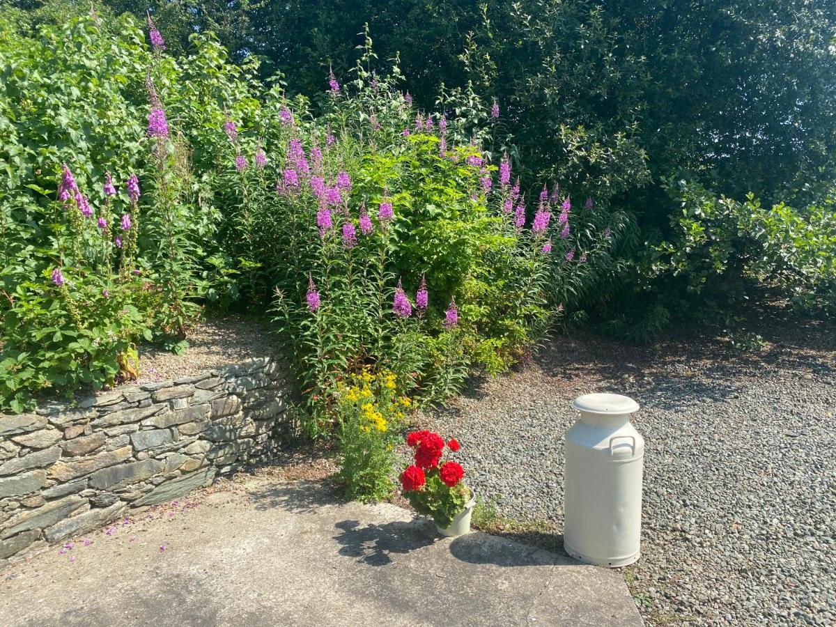 Hawthorn Cottage Greencastle  Eksteriør bilde